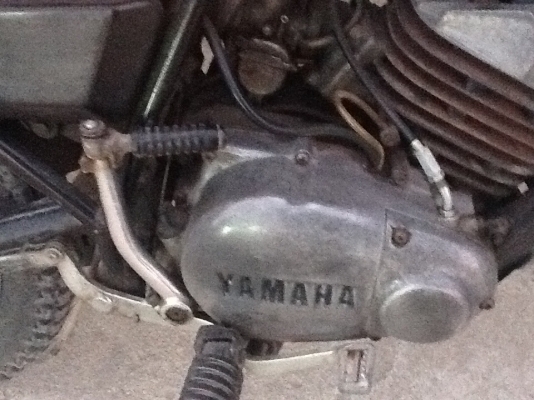 ขาย dt. 100 ขาย dt. 100