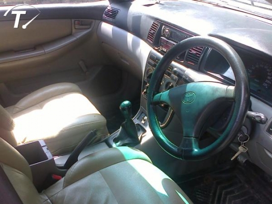 ปลดป้ายแล้ว ทำสีสวยเลย