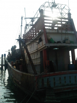 ขายเรือลากเดี่ยว