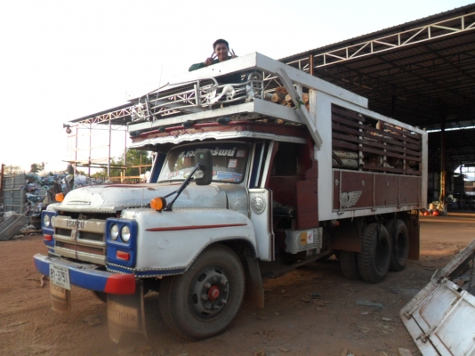 ขาย 10 ล้อ หัวยาว ดั๊ม สองเพลา เพาเวอร์ สโลอินเตอร์ คัสซีสวยใหญ่ ทะเบียนพร้อมโอน