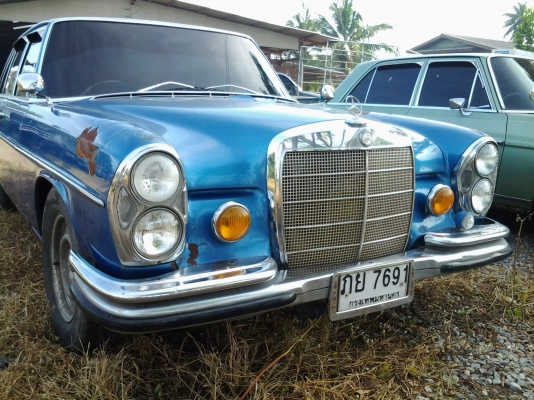 ขาย เบนช์  250s