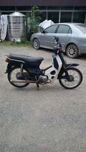 ขายฮอนด้า คัสต้สต้อม
