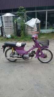 ฮอนด้า คัสต้อมสีม่วง