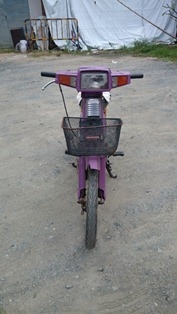 ฮอนด้า คัสต้อมสีม่วง