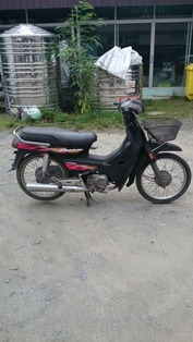 ขายฮอนด้าดรีม ตูดมน