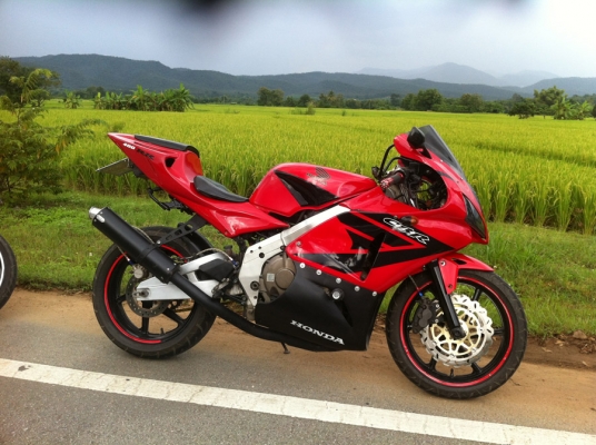 cbr 400 ปี 89 สวยมาก ของแต่งเพียบ ทะเบียนแท้ เชียงใหม่ cbr 400 ปี 89 สวยมาก ของแต่งเพียบ ทะเบียนแท้ เชียงใหม่