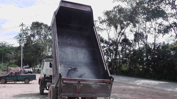 ขาย 6 ล้อดั้มใหญ่