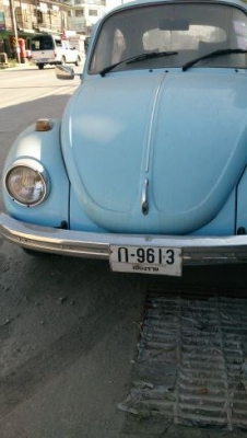 ขายเต่าปี 16 พร้อมทุกอย่าง