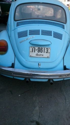 ขายเต่าปี 16 พร้อมทุกอย่าง