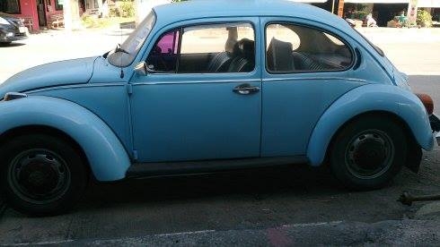 ขายเต่าปี 16 พร้อมทุกอย่าง