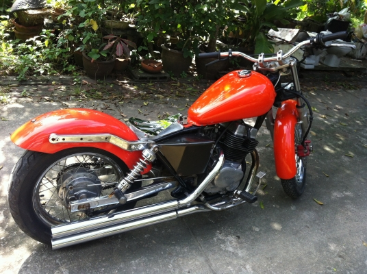 ขาย รีเบล 250 แต่งสวยมาก เครื่องดีมาก ขาย รีเบล 250 แต่งสวยมาก เครื่องดีมาก