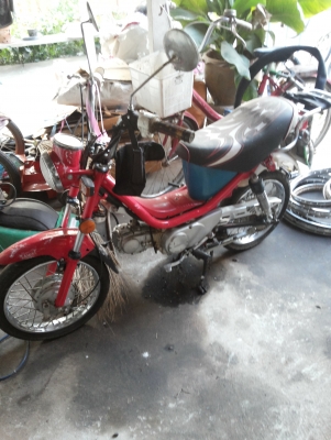 ขาย ชิปปี้ รถเครื่องดีขี่ได้ พร้อมใช้งาน ราคาต่อรอง