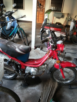 ขาย ชิปปี้ รถเครื่องดีขี่ได้ พร้อมใช้งาน ราคาต่อรอง