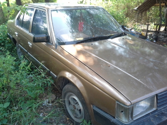 หน้าแหลมถูกๆเด้อ29500ต่อรองได้ยุหนองจอก