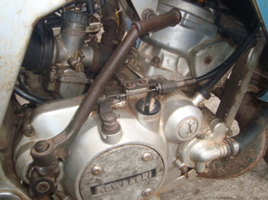 ขาย SERPICO ขาย SERPICO