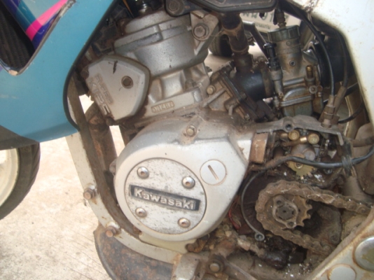 ขาย SERPICO ขาย SERPICO