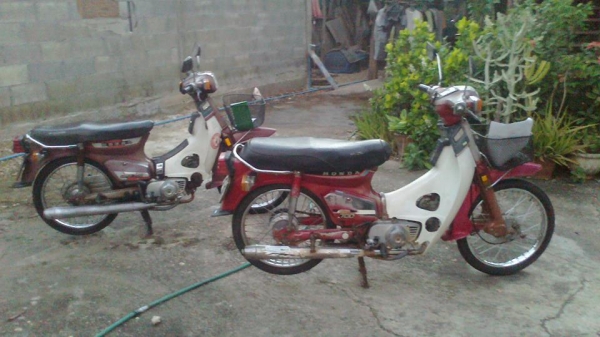 ขายนันทิดา C700 - C900  ทะเบียนโอนทุกคัน