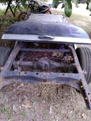 แชสซี ไมตี้