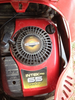 รถตัดหญ้าอิตาลิ