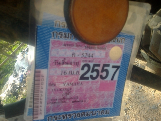 ลุงทุม หัวเขา   ติดต่อ 086  764   5698