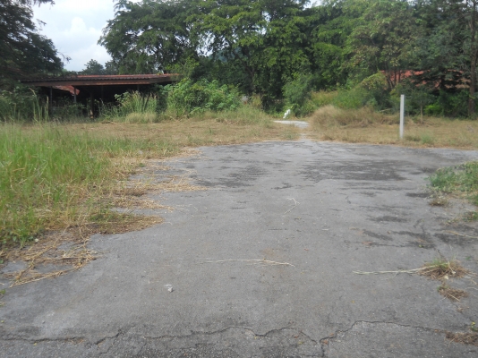 ขายที่ปากช่องที่ดิน2ไร่พร้อมบ้าน2หลังรวม3360000  วิวสวยอากาศดีเอกสารโฉนดไม่แพง