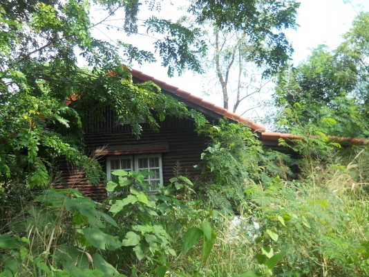 ขายที่ปากช่องที่ดิน2ไร่พร้อมบ้าน2หลังรวม3360000  วิวสวยอากาศดีเอกสารโฉนดไม่แพง