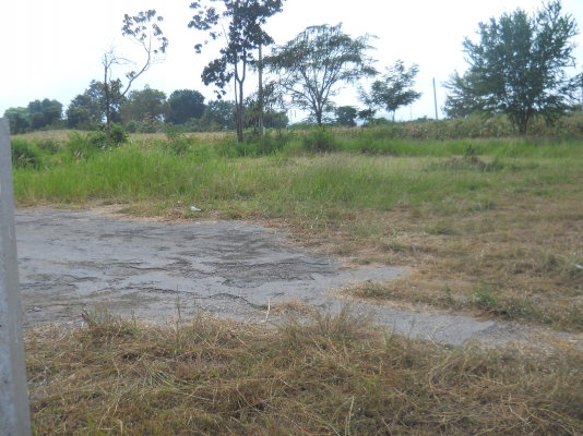 ขายที่ปากช่องที่ดิน2ไร่พร้อมบ้าน2หลังรวม3360000  วิวสวยอากาศดีเอกสารโฉนดไม่แพง