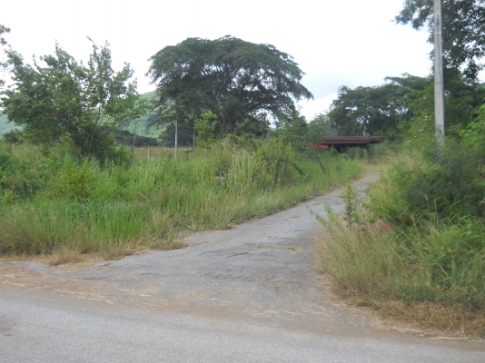 ขายที่ปากช่องที่ดิน2ไร่พร้อมบ้าน2หลังรวม3360000  วิวสวยอากาศดีเอกสารโฉนดไม่แพง