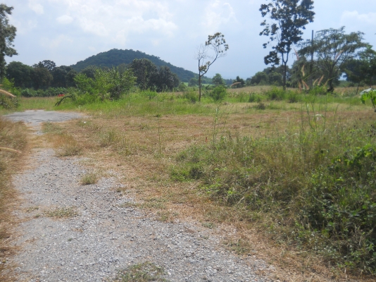 ขายที่ปากช่องที่ดิน2ไร่พร้อมบ้าน2หลังรวม3360000  วิวสวยอากาศดีเอกสารโฉนดไม่แพง