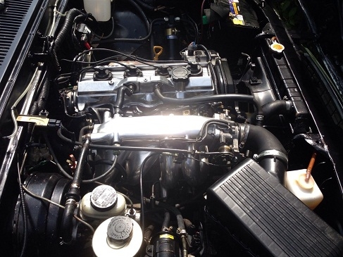 เชฟ l u v 1975