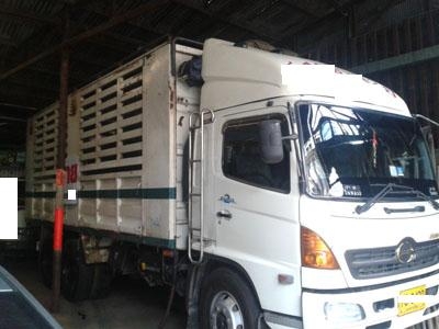 ฝากขาย Hino Mega FL1J เพลาเดียวคอกเกษตรไม่ดั้มพ์ สวยดีมาก โทร 088-4501277