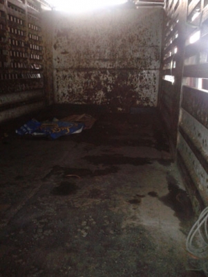 ฝากขาย Hino Mega FL1J เพลาเดียวคอกเกษตรไม่ดั้มพ์ สวยดีมาก โทร 088-4501277 ฝากขาย Hino Mega FL1J เพลาเดียวคอกเกษตรไม่ดั้มพ์ สวยดีมาก โทร 088-4501277