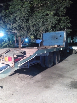 ขายหัวยาวหางปลา