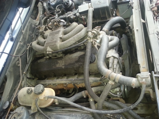 ขาย BMW E28 เครื่องเดิม ขาย BMW E28 เครื่องเดิม