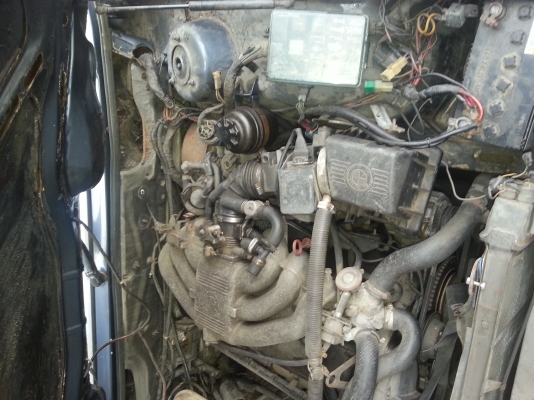 ขาย BMW E28 เครื่องเดิม ขาย BMW E28 เครื่องเดิม