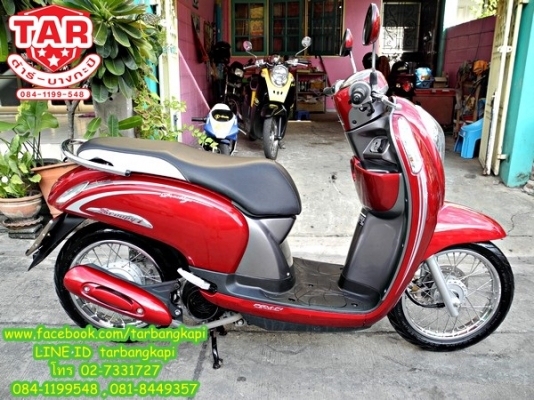 ALL NEW SCOOPY I CLASSIC รุ่น TOP สี แดง-เทา ราคา 30,500 บาท โอนให้ฟรีๆ