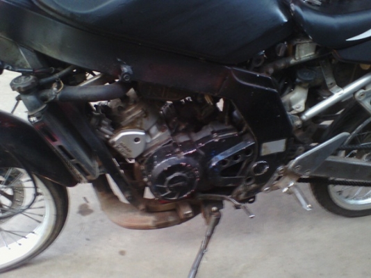 ขายเซอร์ปี 39 3500 บาท ด่วนๆ ขายเซอร์ปี 39 3500 บาท ด่วนๆ