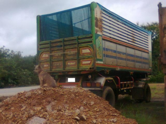 ขายหางพ่วง 2 เพลา ดั้มพ์ สภาพดีราคาถูก โทร 088-4501277