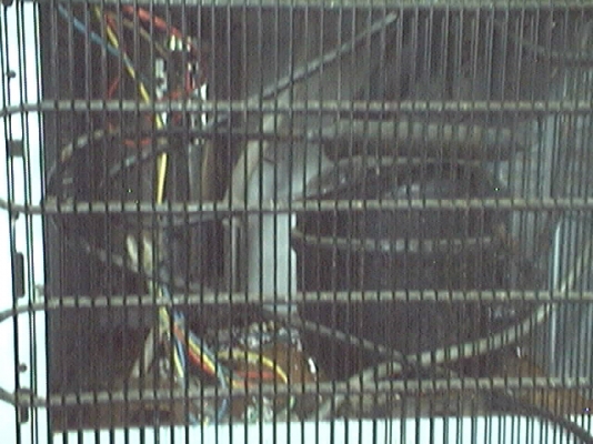 ขายเครื่องทำน้ำร้อน-เย็น ใช้คอมพ์แบบตู้เย็น