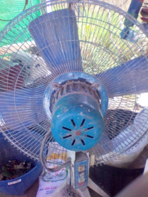 ขายพัดลมอุตสาหกรรม มีสามแบบ ขนาดใบ24นิ้ว มอเตอร์1/3 ตัวละ 1000บาท ขายพัดลมอุตสาหกรรม มีสามแบบ ขนาดใบ24นิ้ว มอเตอร์1/3 ตัวละ 1000บาท