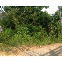 ขาย ที่ดินติดถนนสี่เลน บ้านกลาง สันป่าตอง เชียงใหม่ อย่าพลาด