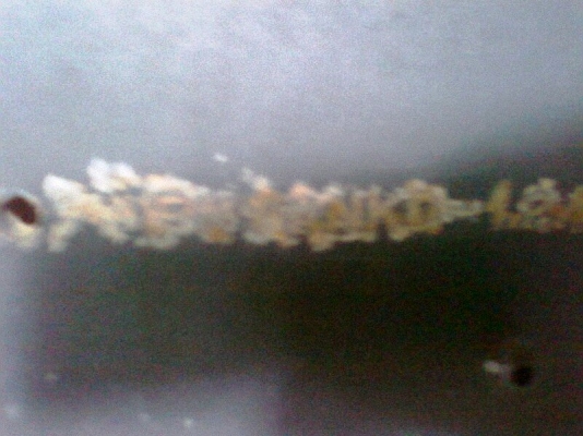 สิบล้อ HINO FM 1A 500 SERIES 330 แรงม้า รถปี 54 `70,XXX Km.ราคานี้หมดเขต 19 พย.56