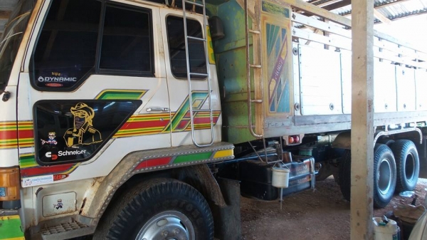 ขายด่วน ไอหลง ตาเหลี่ยมแท้ กระบะเนียม สวยมาก โทร 088-5433231