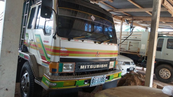 ขายด่วน ไอหลง ตาเหลี่ยมแท้ กระบะเนียม สวยมาก โทร 088-5433231