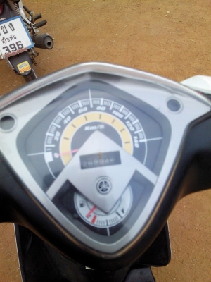 มีโอสองตาปี52