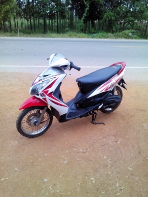 มีโอสองตาปี52