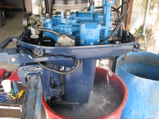 ยา 9.9 ทองขาว หางสั้น