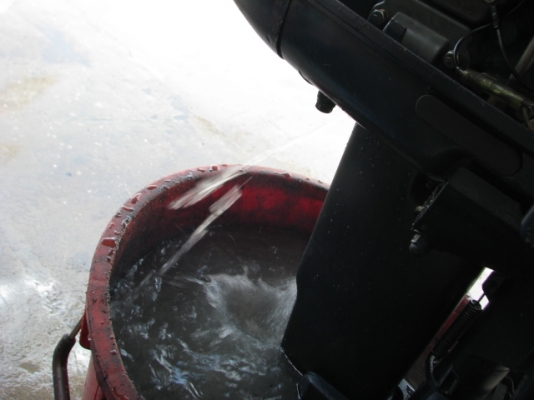 ยา 9.9 ทองขาว หางสั้น