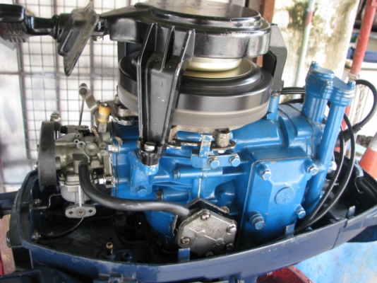 ยา 9.9 ทองขาว หางสั้น