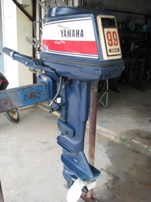 ยา 9.9 ทองขาว หางสั้น